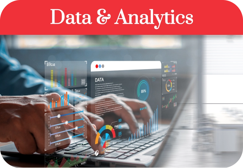 Data & Analytics Services