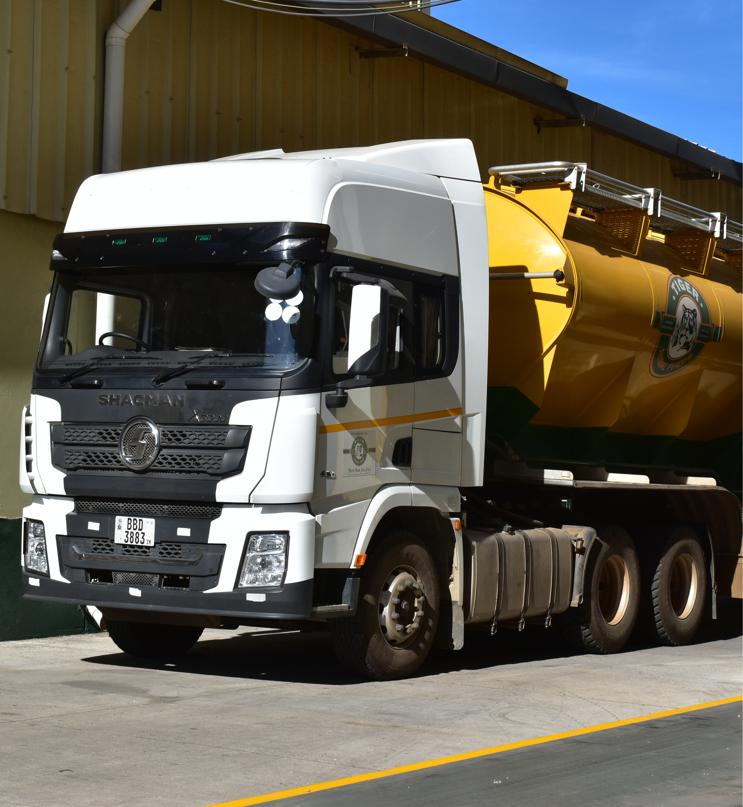 Tiger Feeds Contact Image